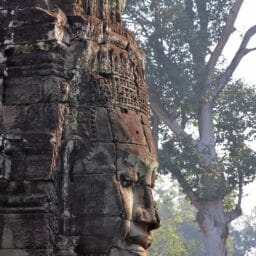 Yoga Teacher Training