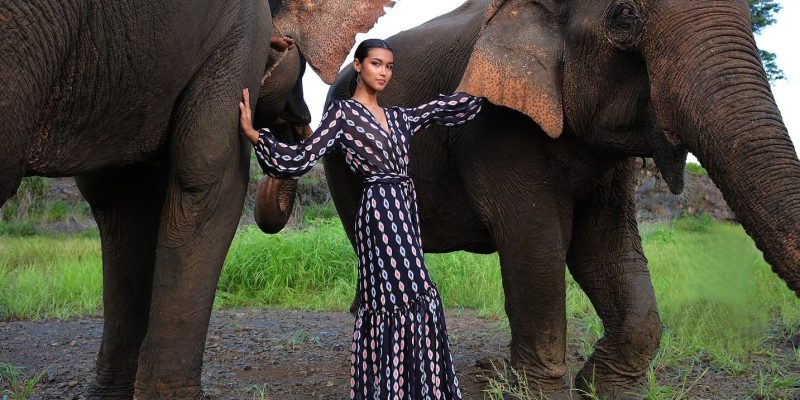 Ambre collection at Angkor Grace - Experience Luxury and Culture